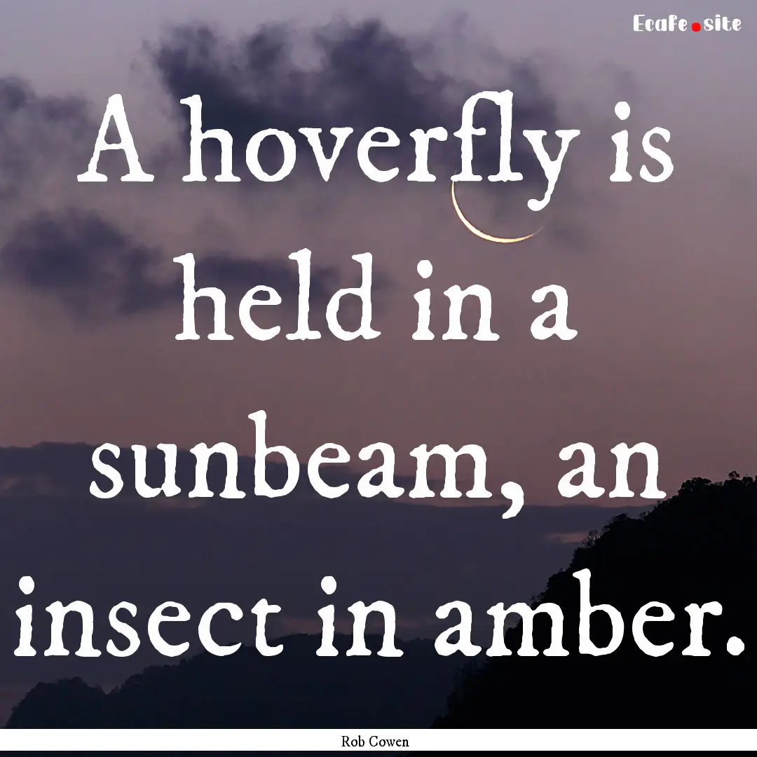 A hoverfly is held in a sunbeam, an insect.... : Quote by Rob Cowen