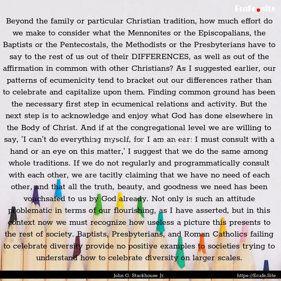 Beyond the family or particular Christian.... : Quote by John G. Stackhouse Jr.