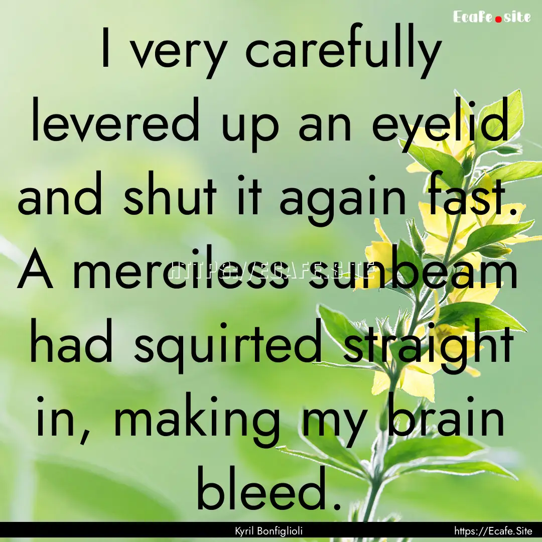 I very carefully levered up an eyelid and.... : Quote by Kyril Bonfiglioli