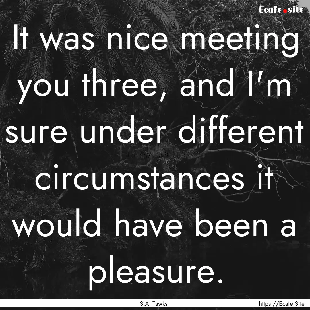 It was nice meeting you three, and I'm sure.... : Quote by S.A. Tawks