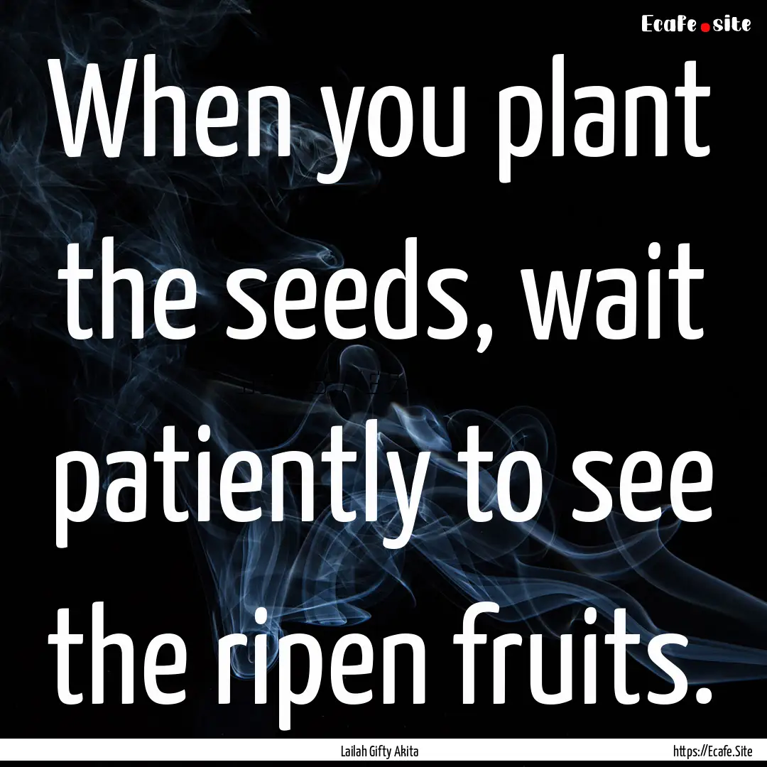 When you plant the seeds, wait patiently.... : Quote by Lailah Gifty Akita