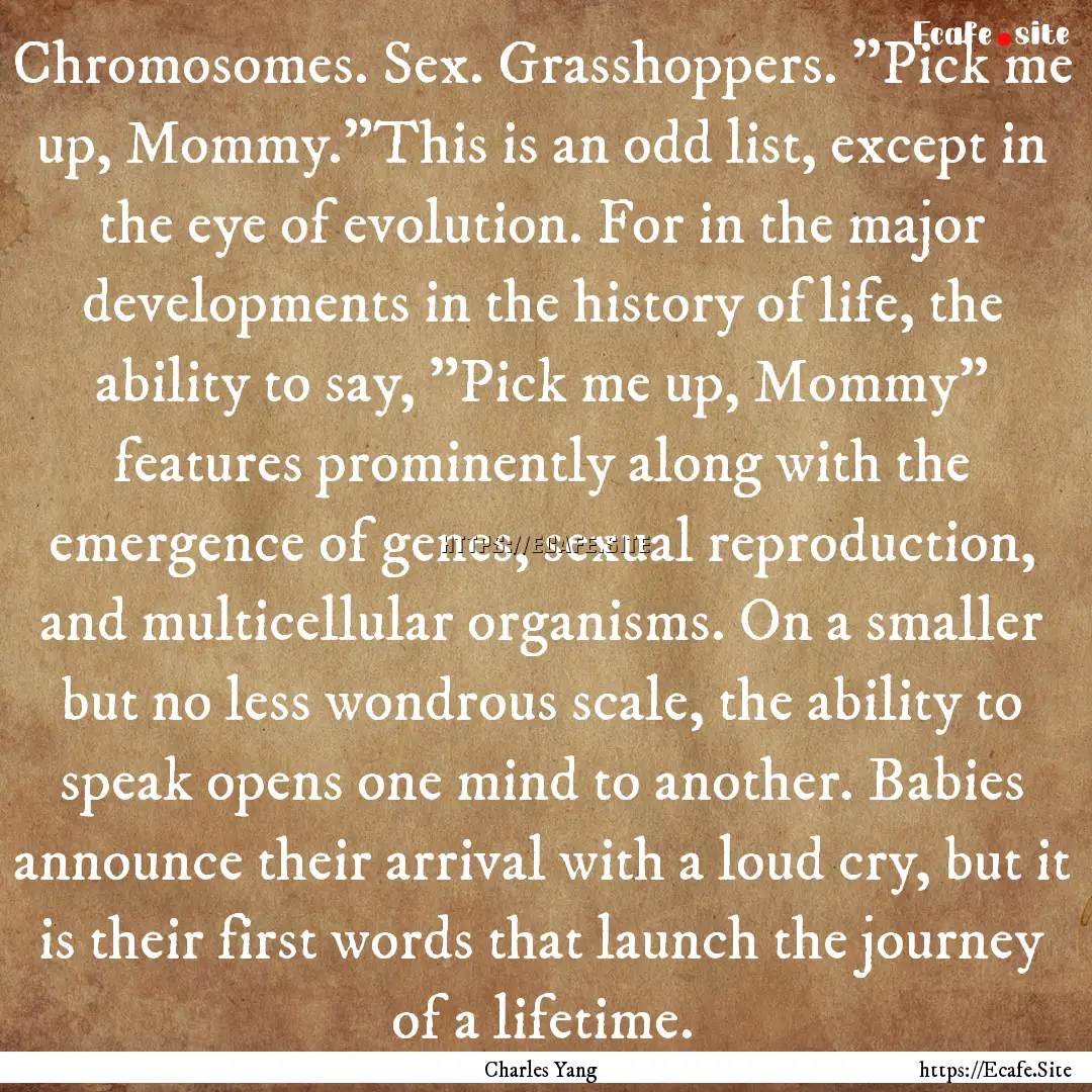 Chromosomes. Sex. Grasshoppers. 