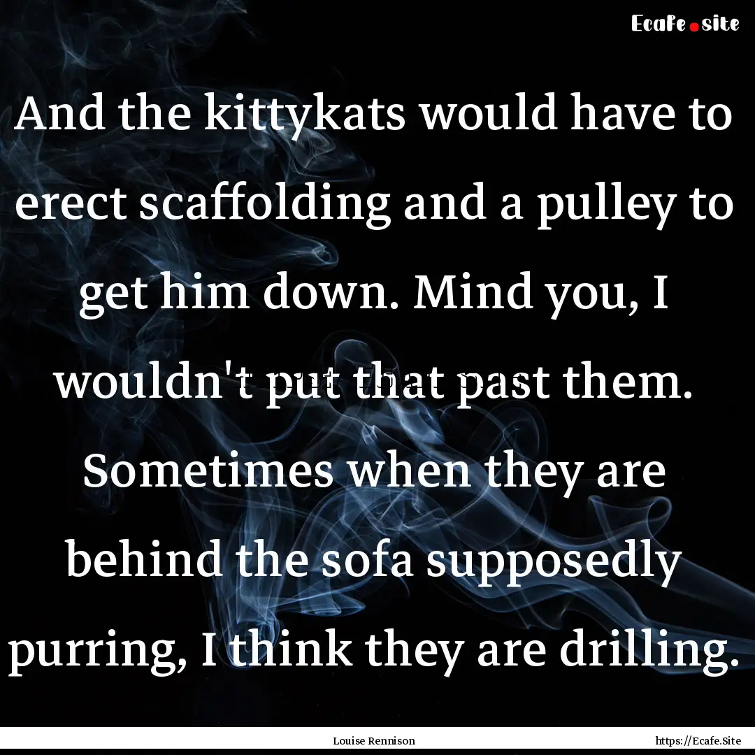 And the kittykats would have to erect scaffolding.... : Quote by Louise Rennison