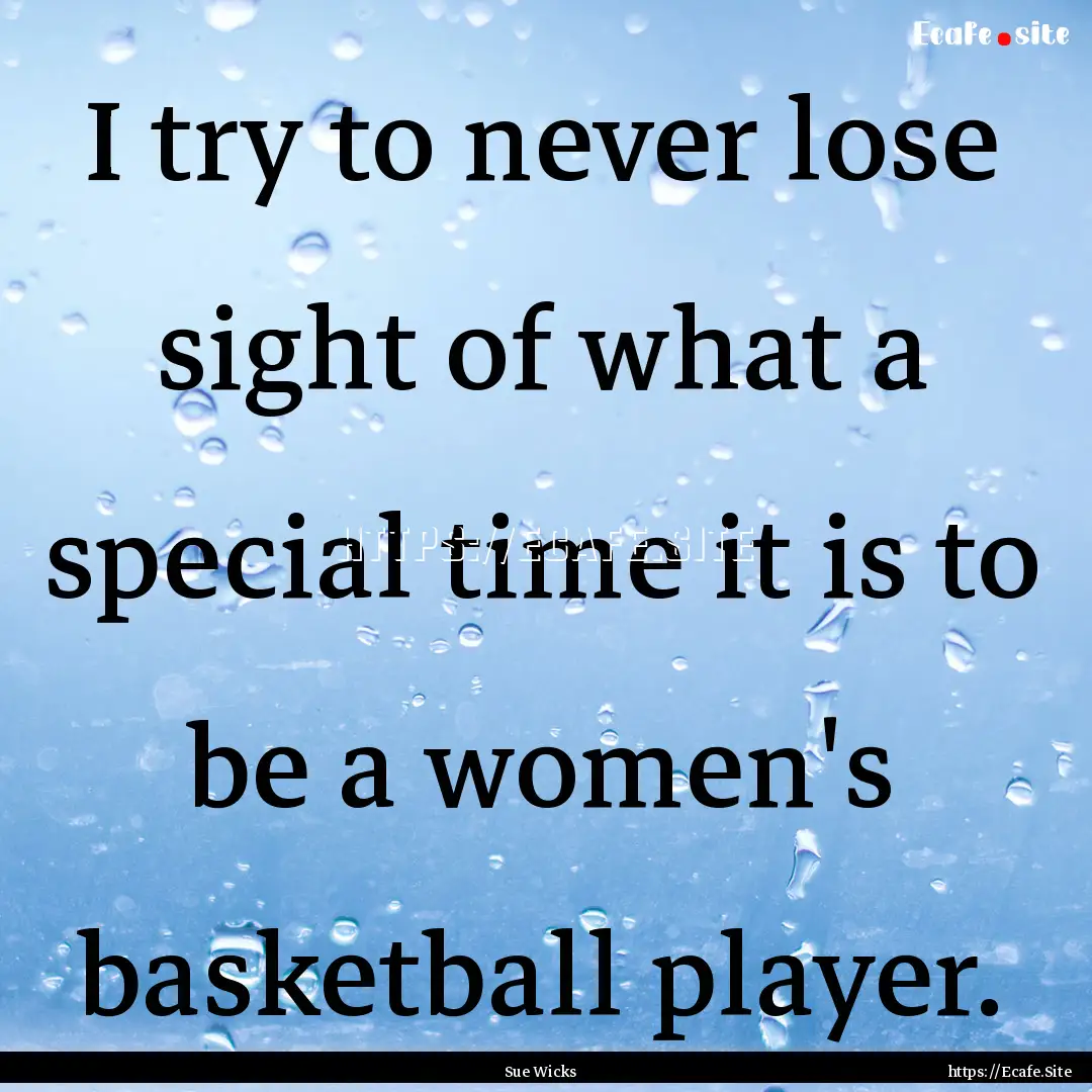 I try to never lose sight of what a special.... : Quote by Sue Wicks