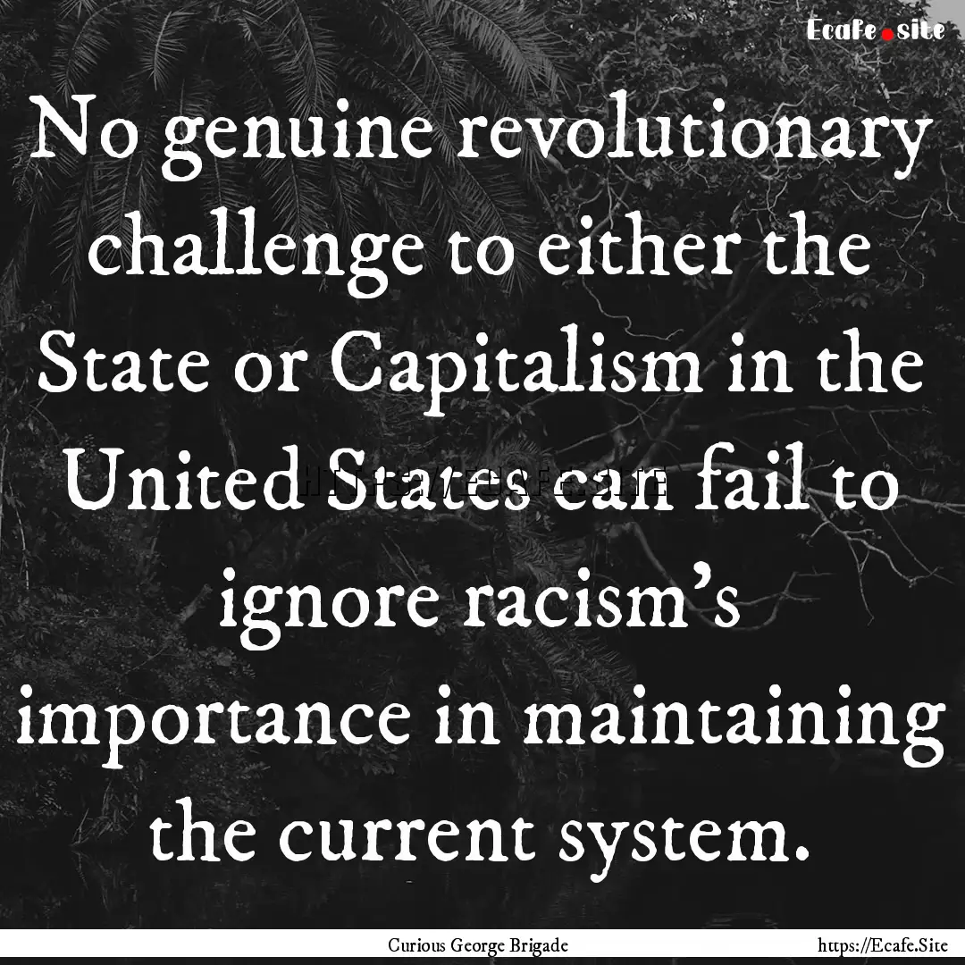 No genuine revolutionary challenge to either.... : Quote by Curious George Brigade