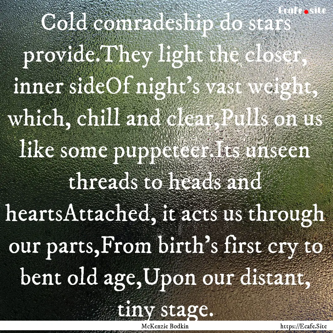 Cold comradeship do stars provide.They light.... : Quote by McKenzie Bodkin