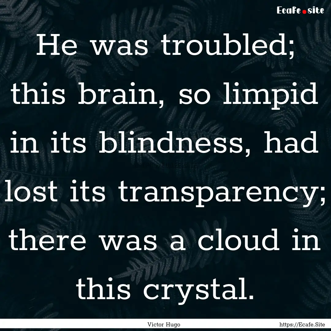 He was troubled; this brain, so limpid in.... : Quote by Victor Hugo