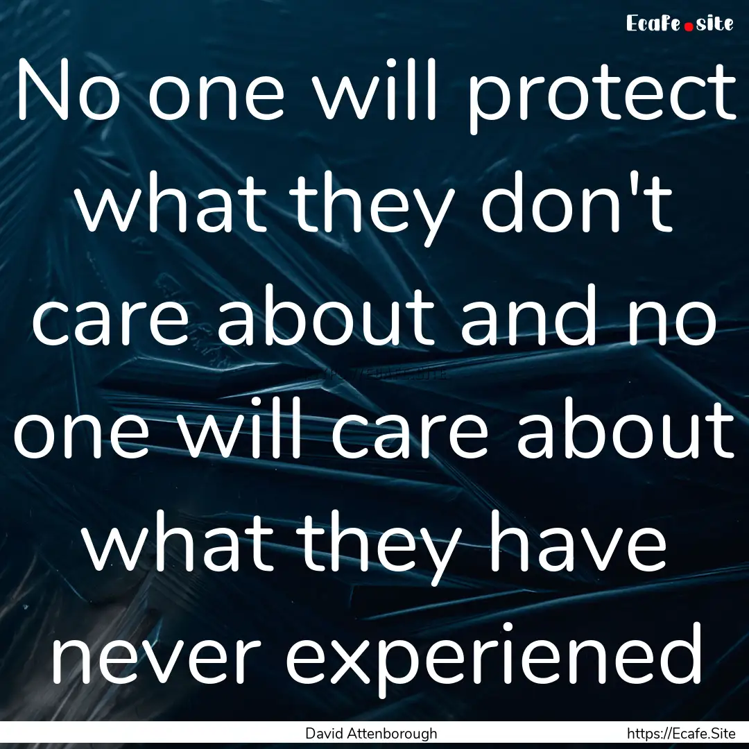 No one will protect what they don't care.... : Quote by David Attenborough