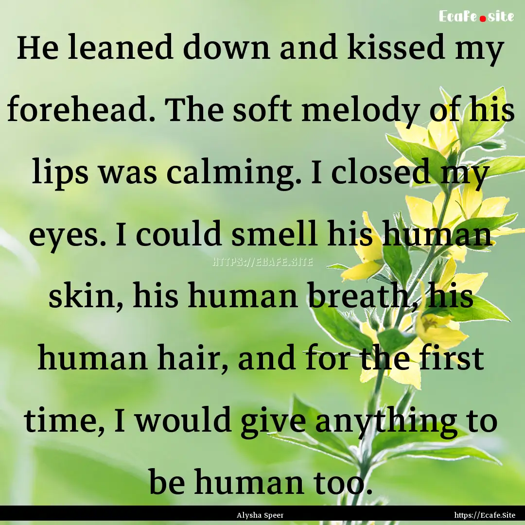 He leaned down and kissed my forehead. The.... : Quote by Alysha Speer