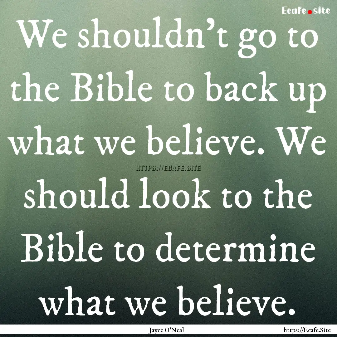 We shouldn't go to the Bible to back up what.... : Quote by Jayce O'Neal