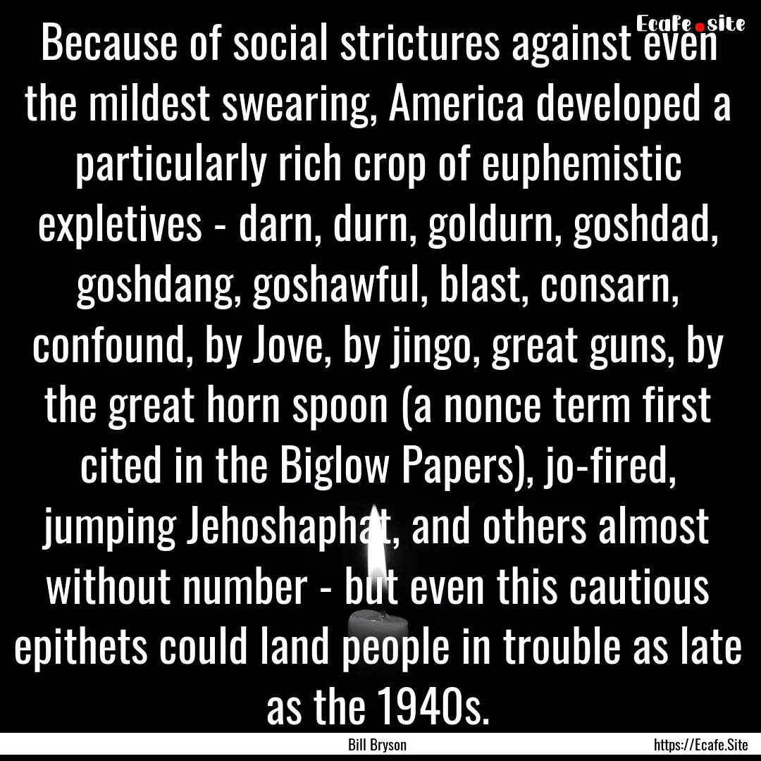 Because of social strictures against even.... : Quote by Bill Bryson