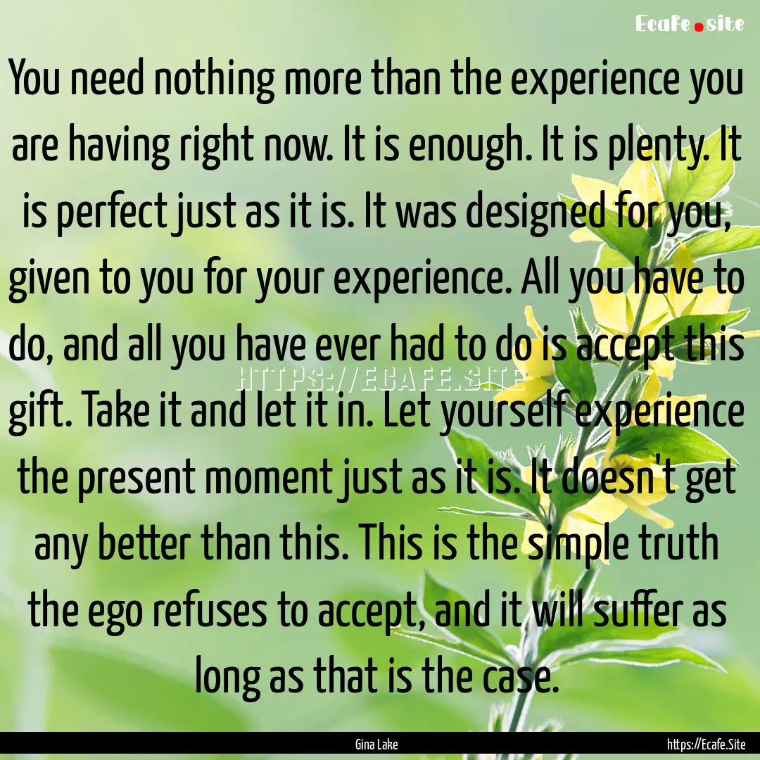 You need nothing more than the experience.... : Quote by Gina Lake