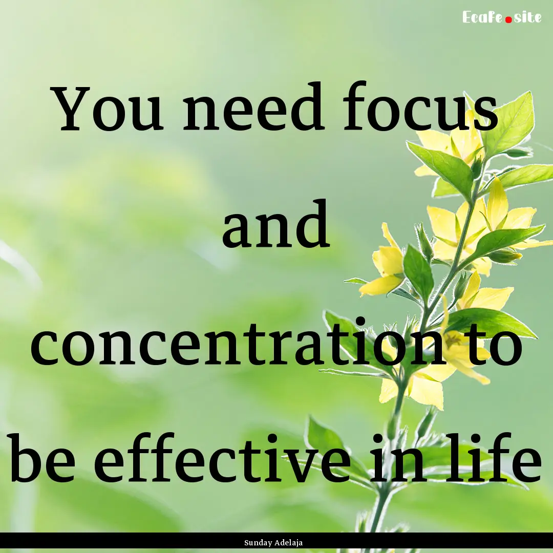 You need focus and concentration to be effective.... : Quote by Sunday Adelaja