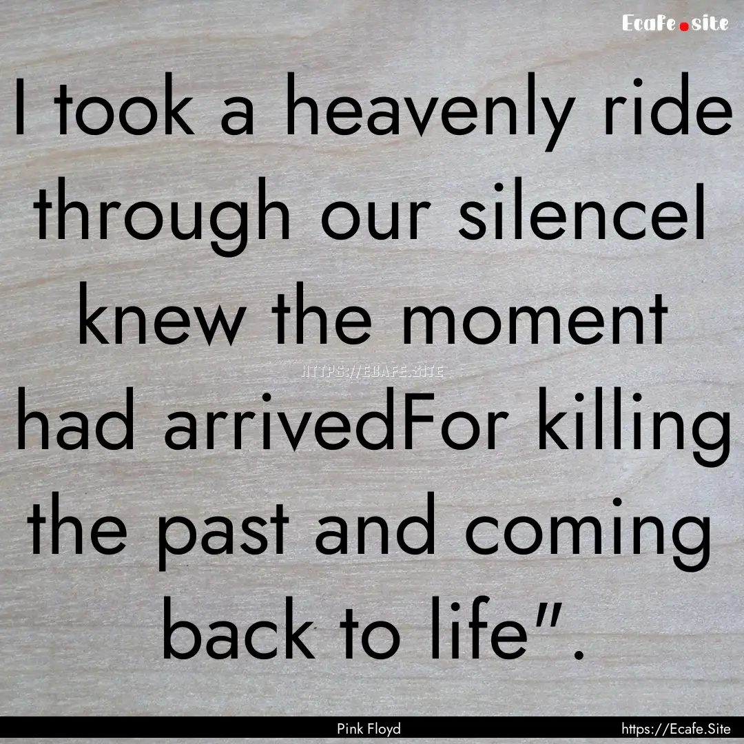 I took a heavenly ride through our silenceI.... : Quote by Pink Floyd