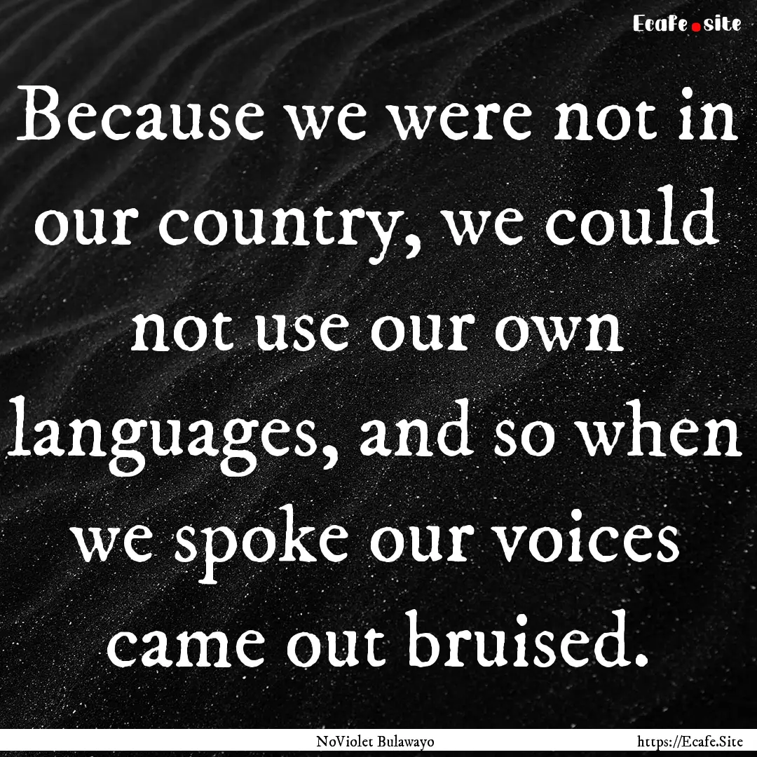 Because we were not in our country, we could.... : Quote by NoViolet Bulawayo