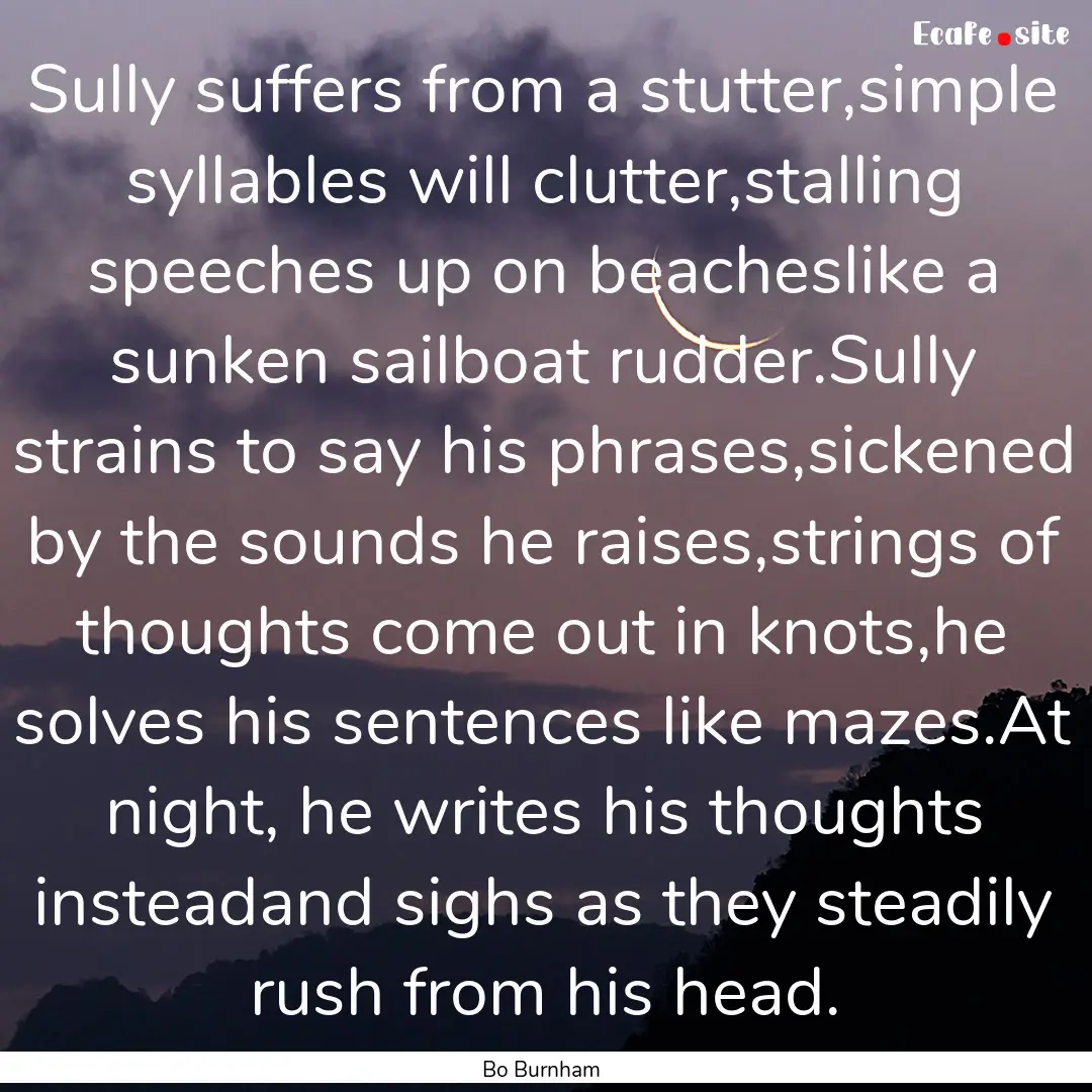 Sully suffers from a stutter,simple syllables.... : Quote by Bo Burnham