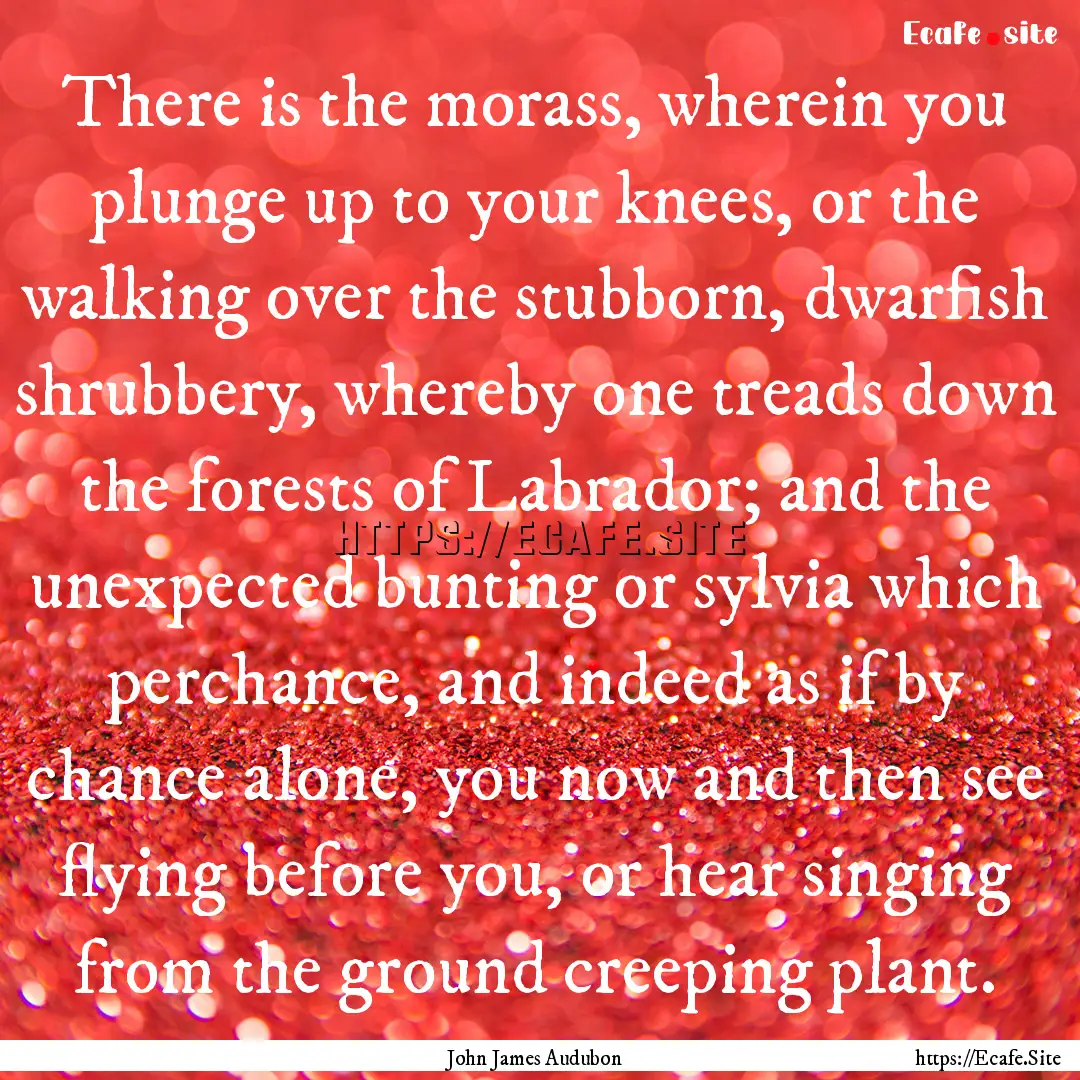 There is the morass, wherein you plunge up.... : Quote by John James Audubon