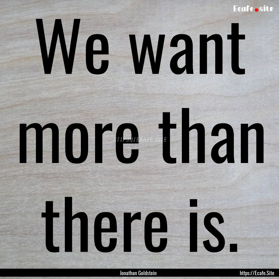 We want more than there is. : Quote by Jonathan Goldstein