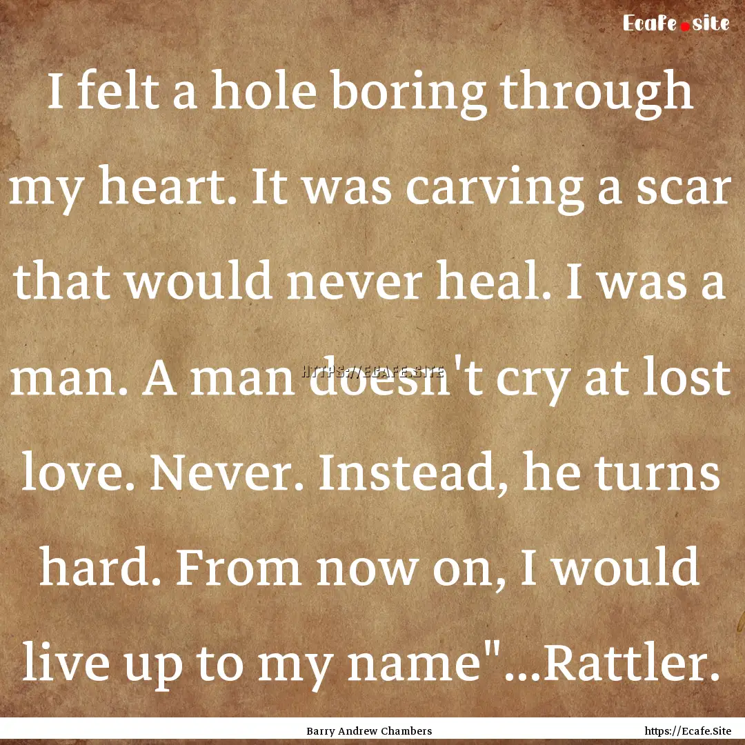 I felt a hole boring through my heart. It.... : Quote by Barry Andrew Chambers