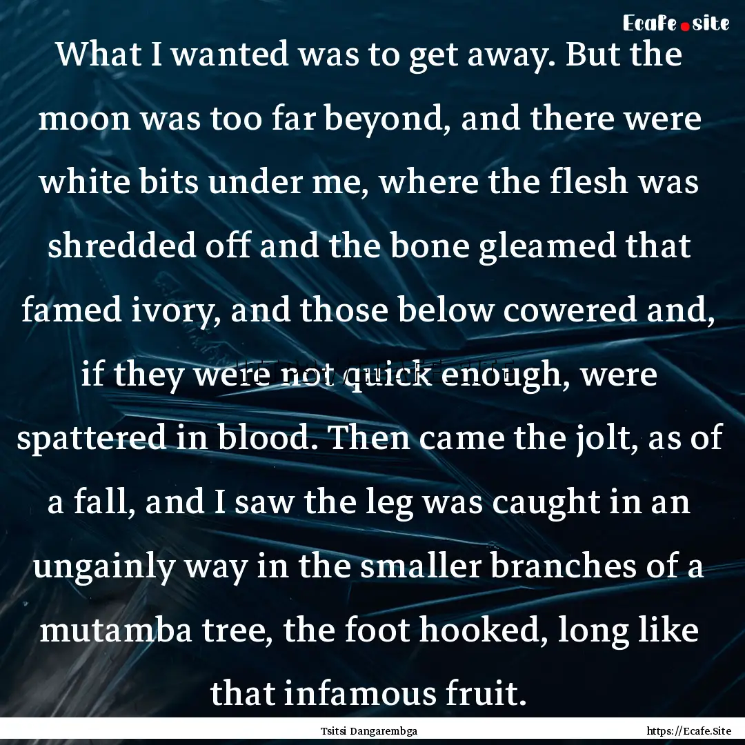 What I wanted was to get away. But the moon.... : Quote by Tsitsi Dangarembga