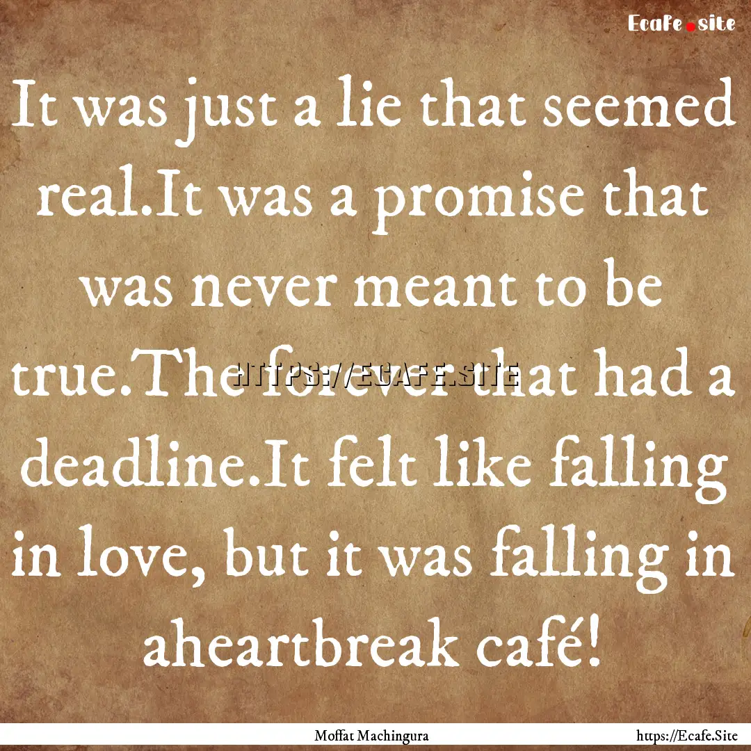 It was just a lie that seemed real.It was.... : Quote by Moffat Machingura