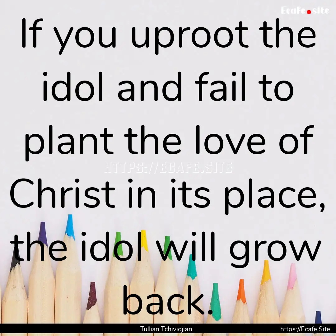 If you uproot the idol and fail to plant.... : Quote by Tullian Tchividjian