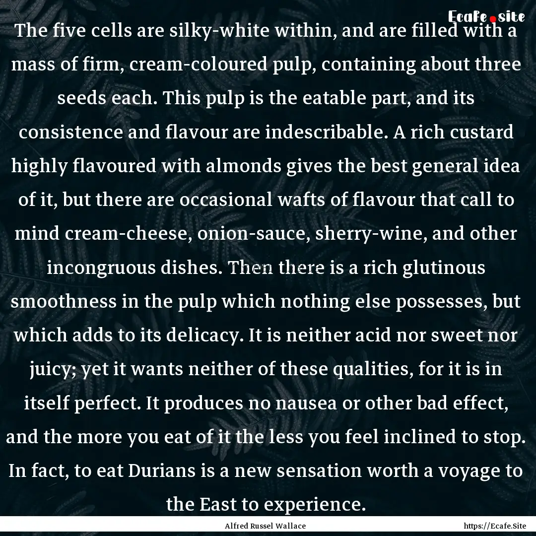 The five cells are silky-white within, and.... : Quote by Alfred Russel Wallace