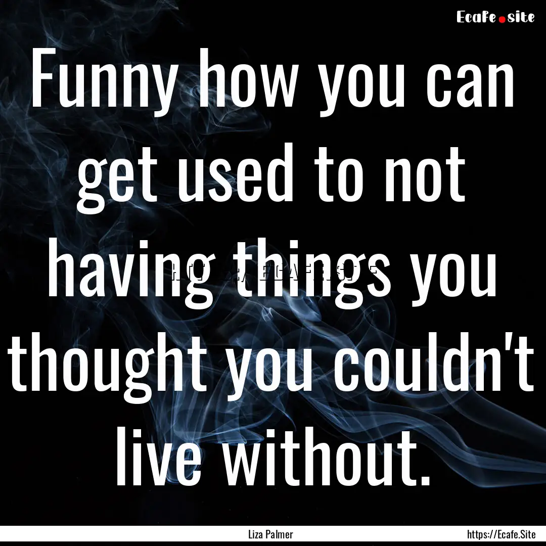 Funny how you can get used to not having.... : Quote by Liza Palmer