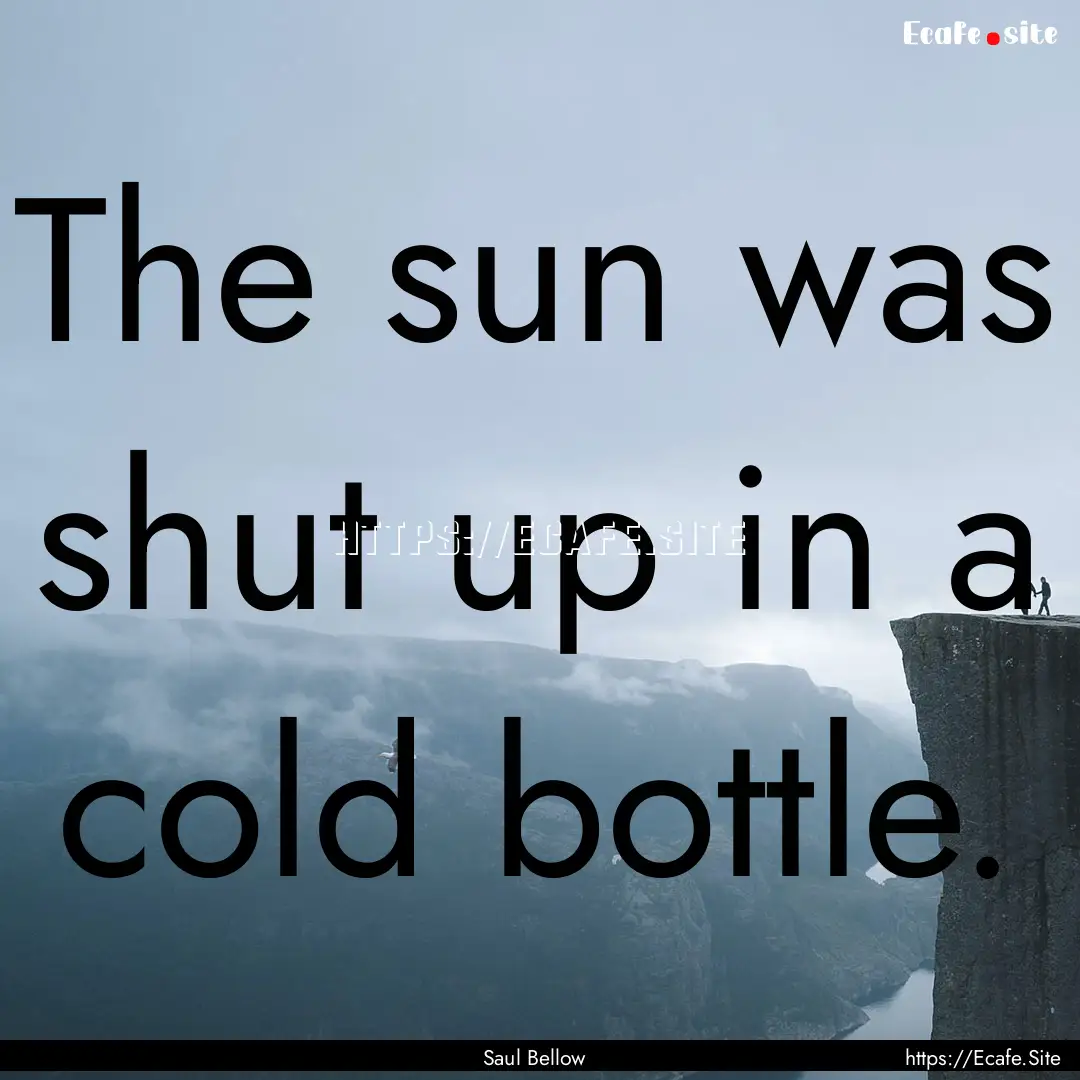 The sun was shut up in a cold bottle. : Quote by Saul Bellow