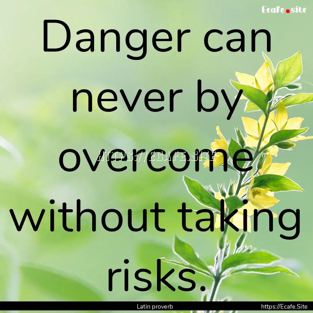 Danger can never by overcome without taking.... : Quote by Latin proverb