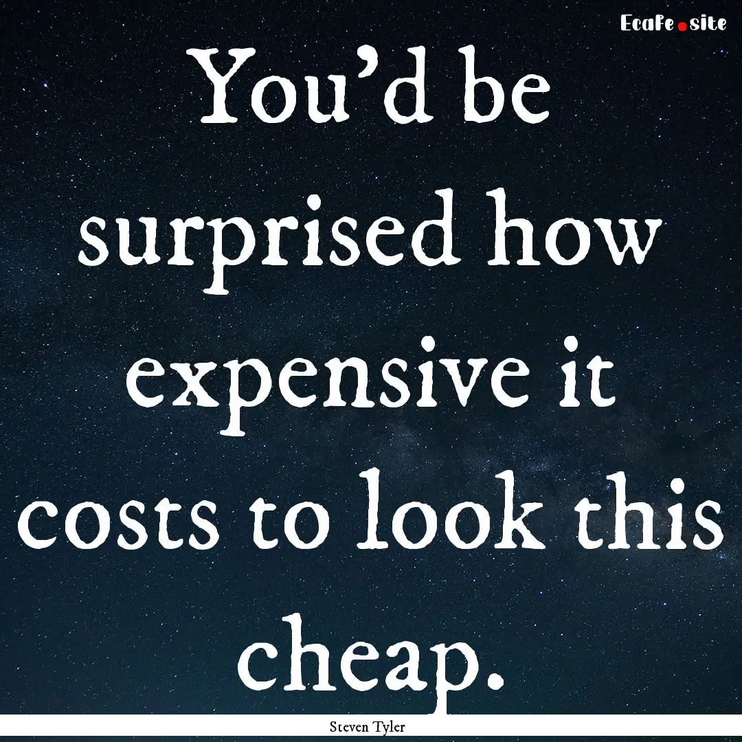 You'd be surprised how expensive it costs.... : Quote by Steven Tyler