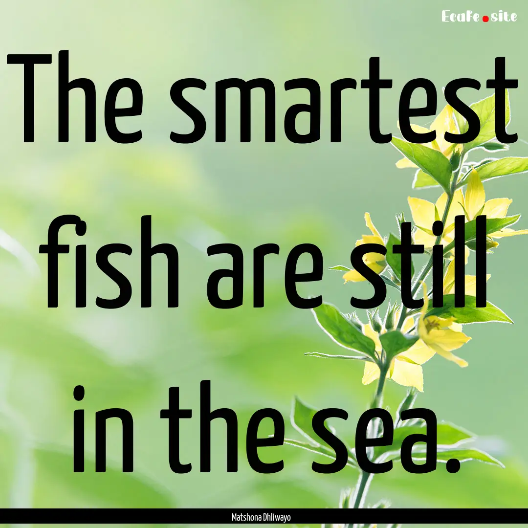 The smartest fish are still in the sea. : Quote by Matshona Dhliwayo