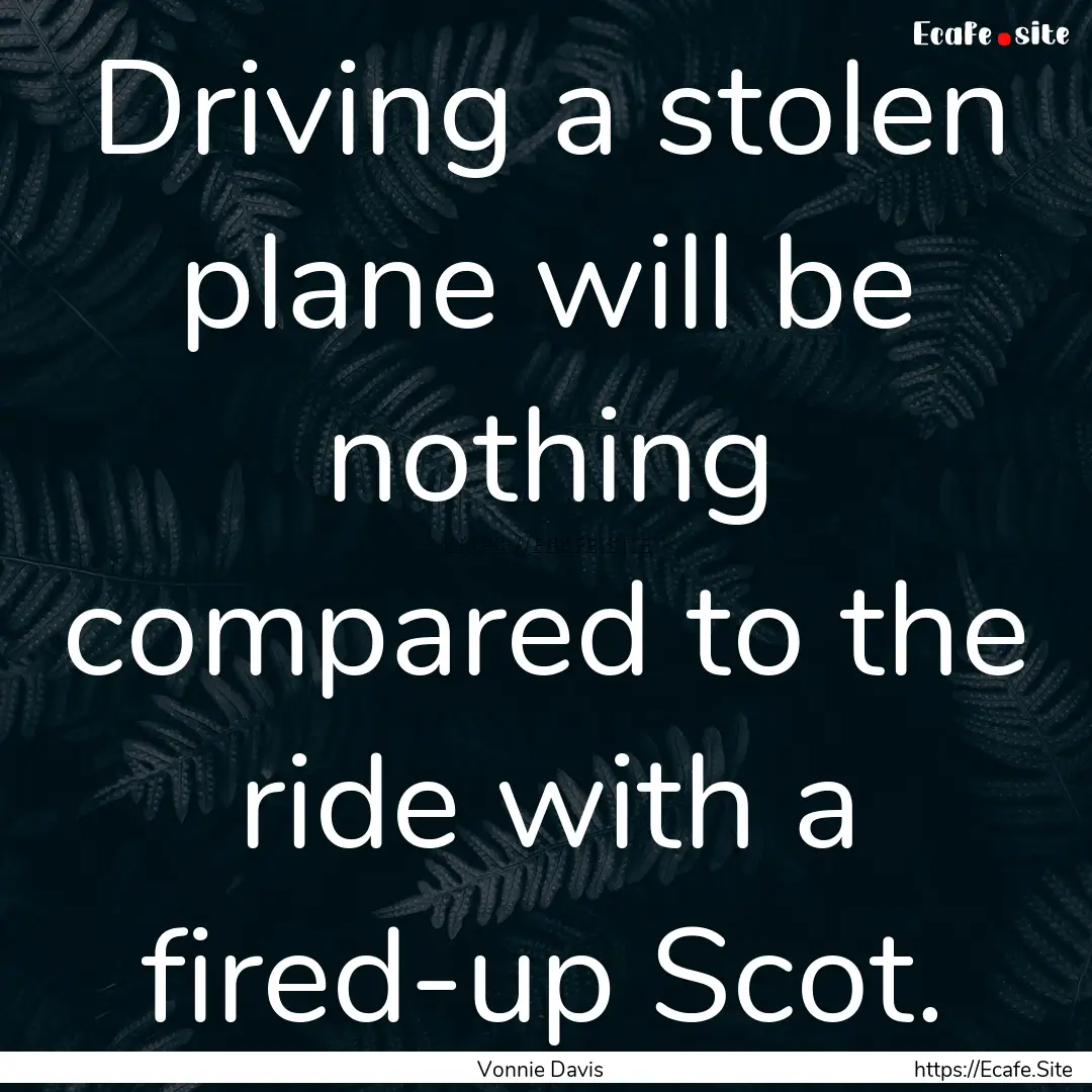 Driving a stolen plane will be nothing compared.... : Quote by Vonnie Davis