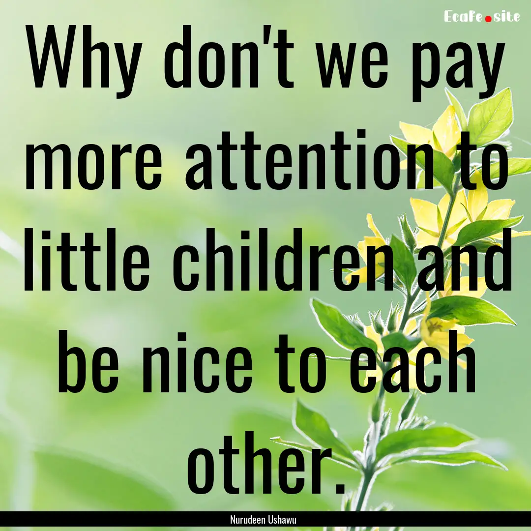 Why don't we pay more attention to little.... : Quote by Nurudeen Ushawu