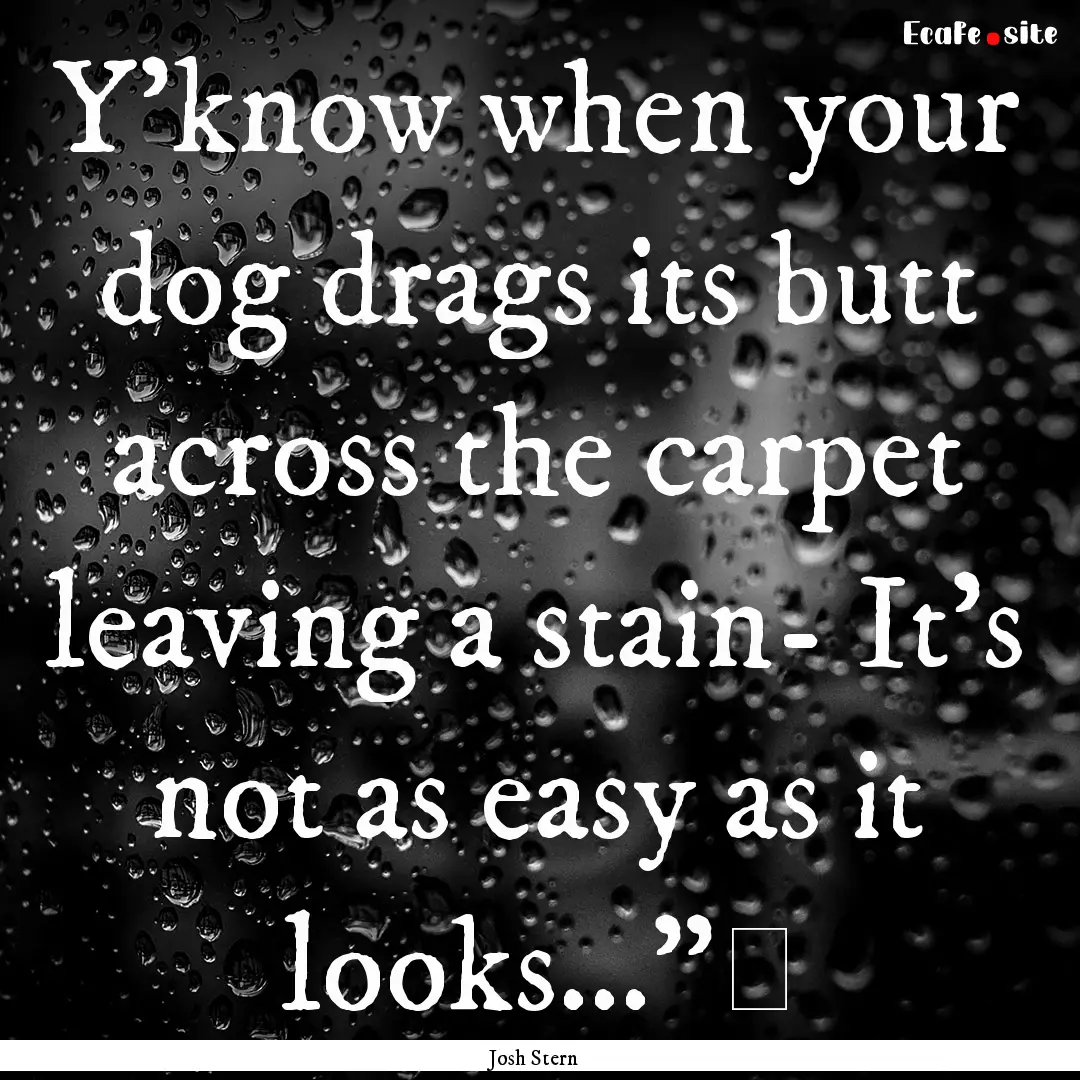 Y'know when your dog drags its butt across.... : Quote by Josh Stern