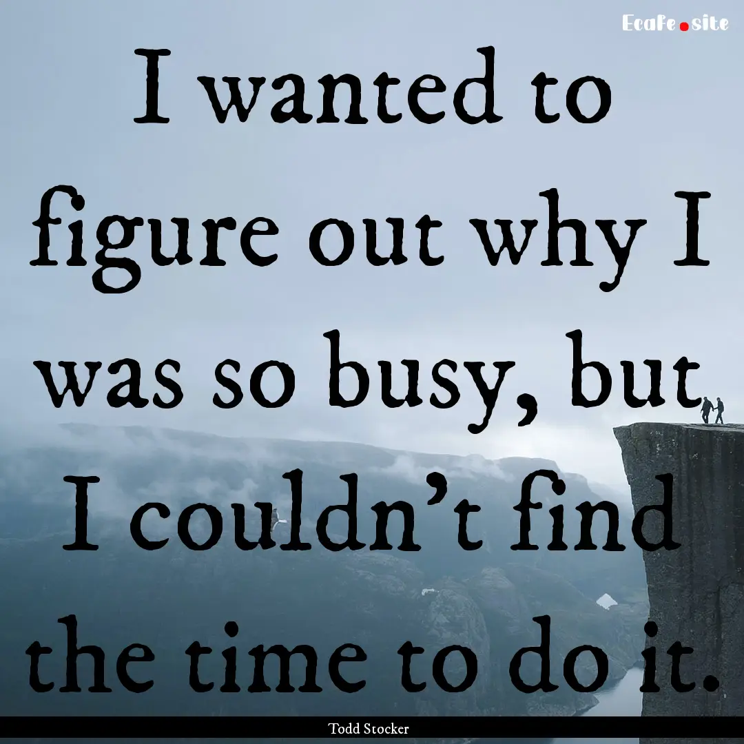 I wanted to figure out why I was so busy,.... : Quote by Todd Stocker