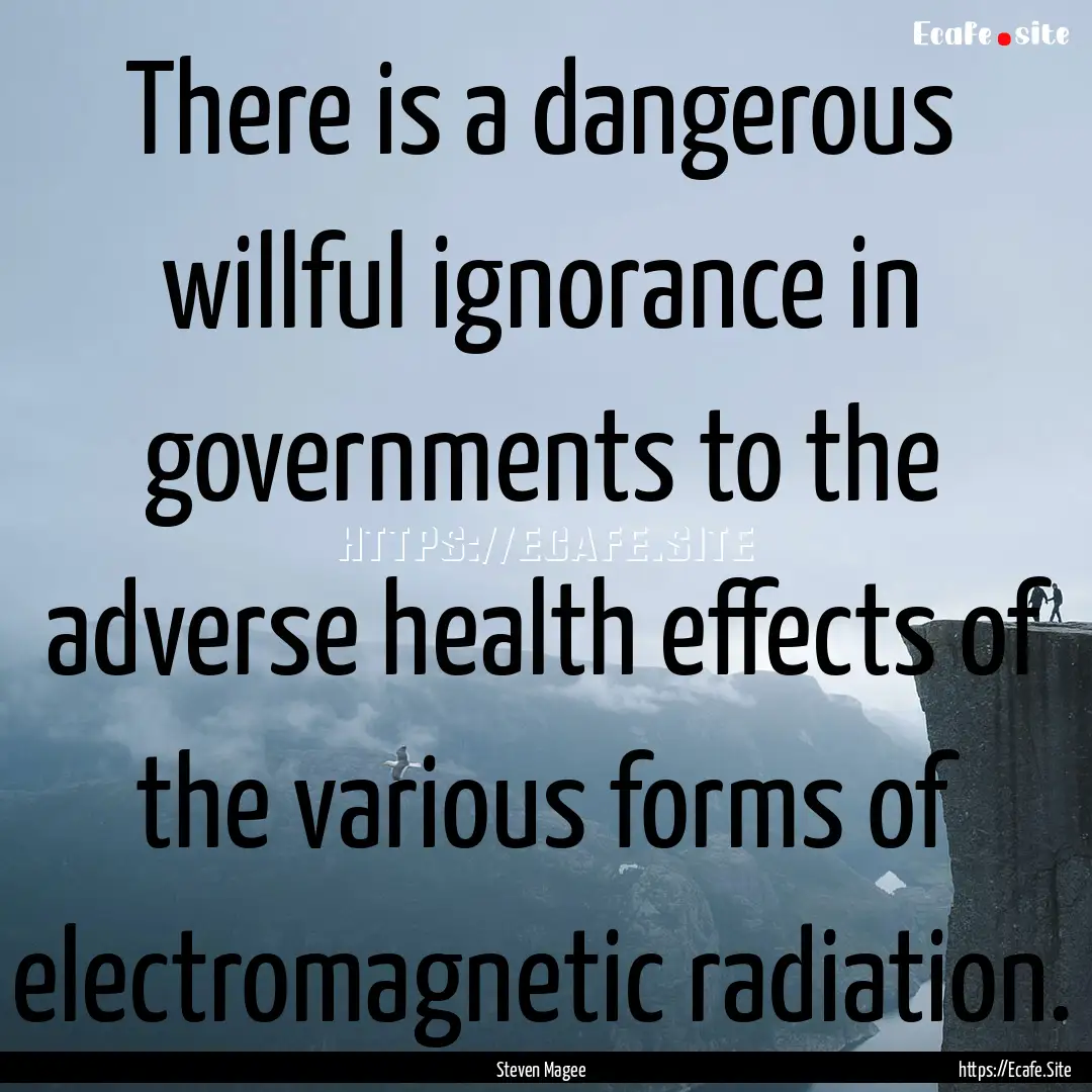 There is a dangerous willful ignorance in.... : Quote by Steven Magee