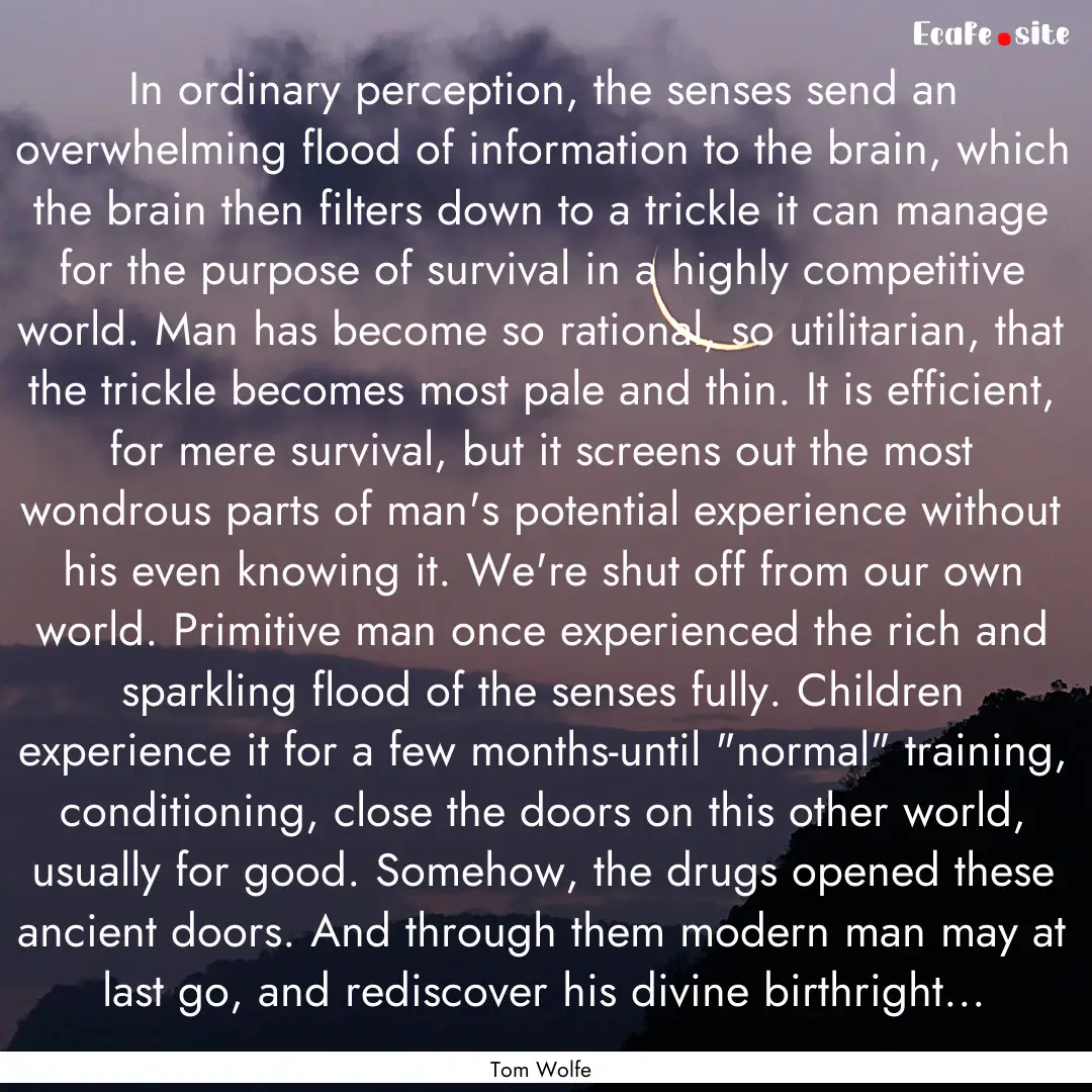 In ordinary perception, the senses send an.... : Quote by Tom Wolfe