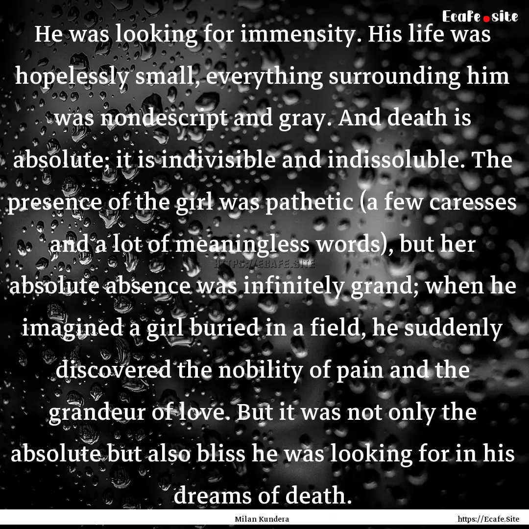 He was looking for immensity. His life was.... : Quote by Milan Kundera