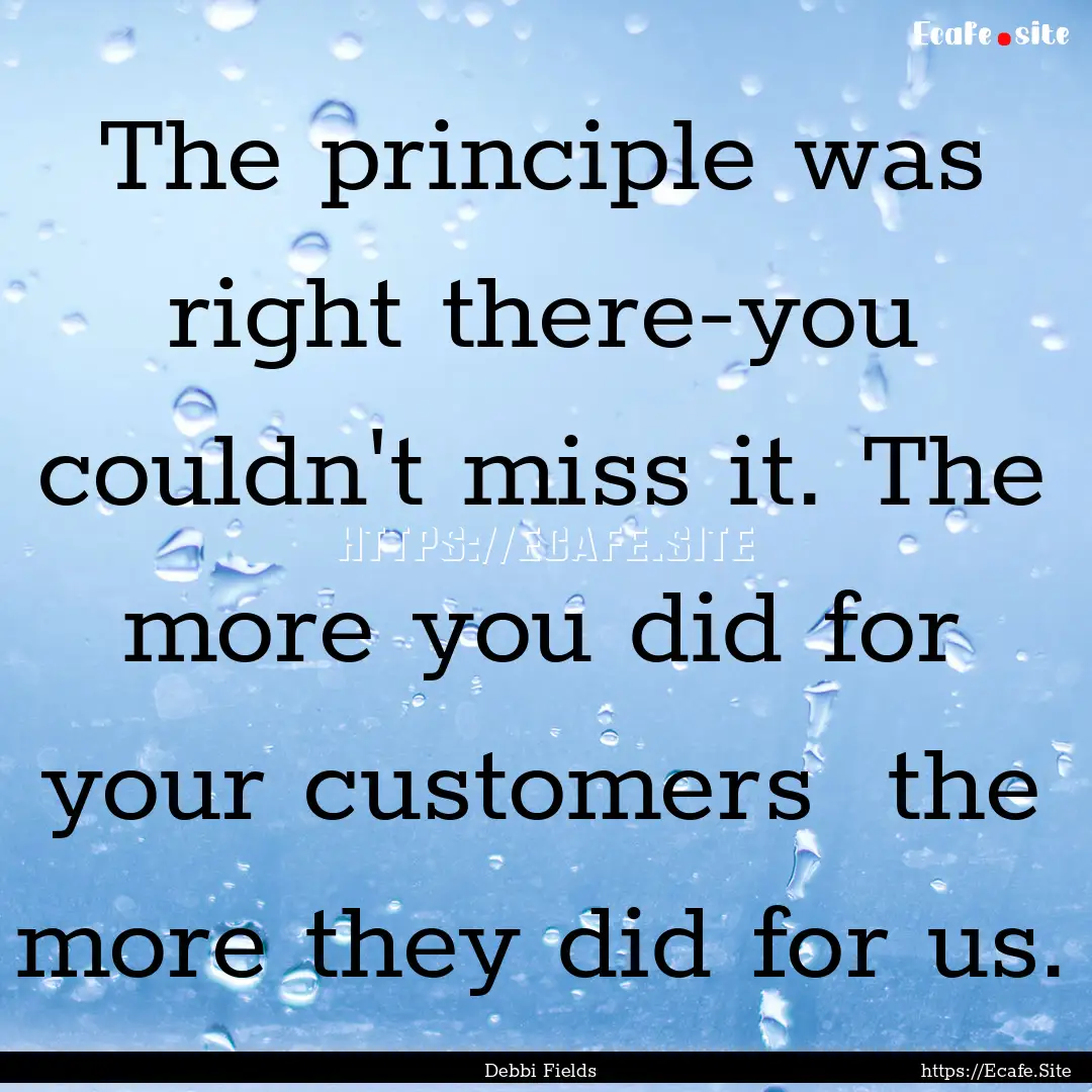 The principle was right there-you couldn't.... : Quote by Debbi Fields