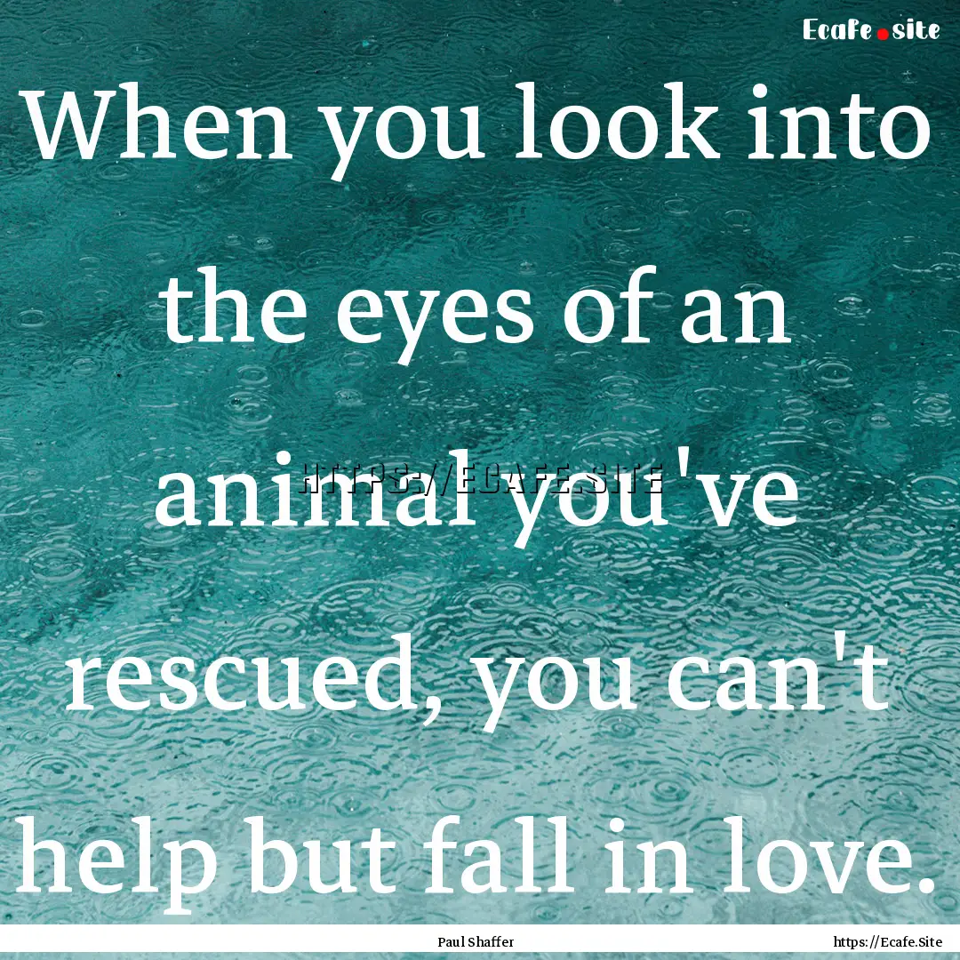 When you look into the eyes of an animal.... : Quote by Paul Shaffer