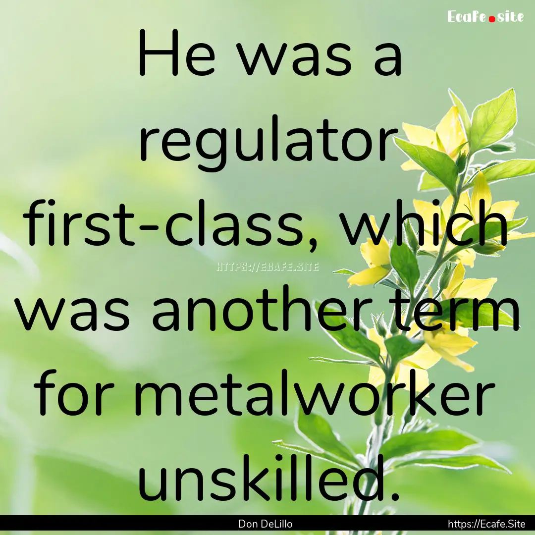 He was a regulator first-class, which was.... : Quote by Don DeLillo