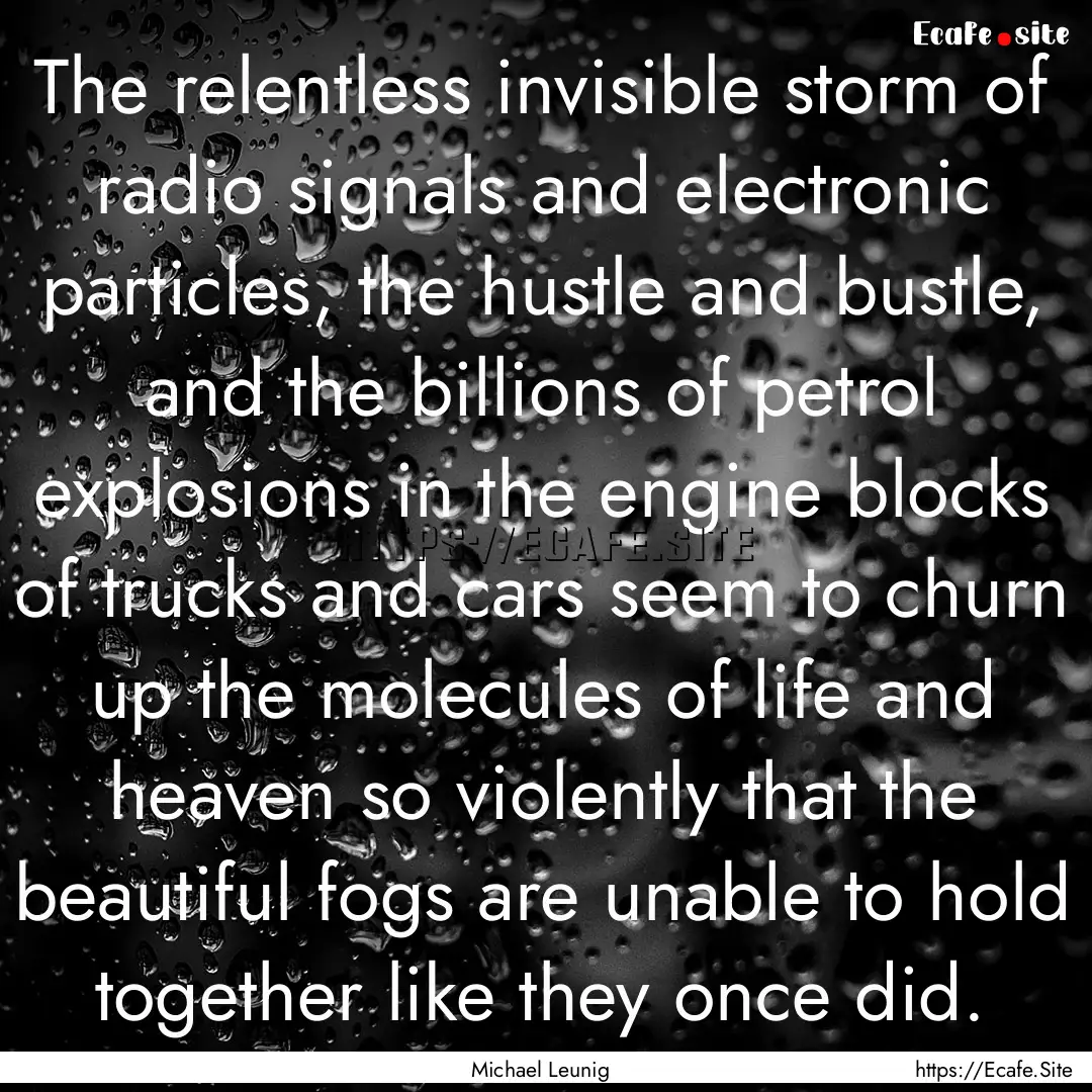 The relentless invisible storm of radio signals.... : Quote by Michael Leunig