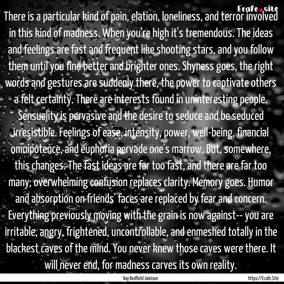 There is a particular kind of pain, elation,.... : Quote by Kay Redfield Jamison