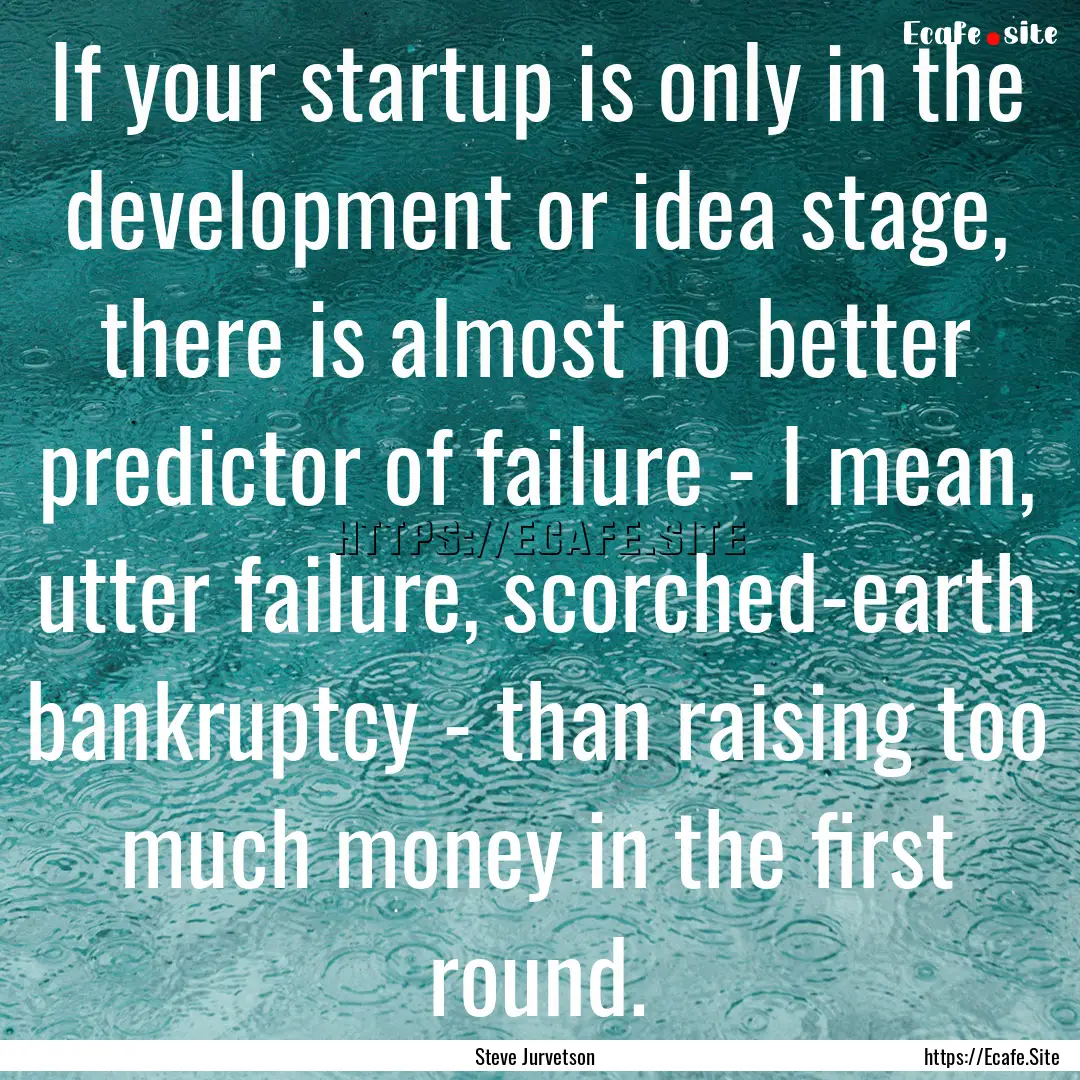 If your startup is only in the development.... : Quote by Steve Jurvetson