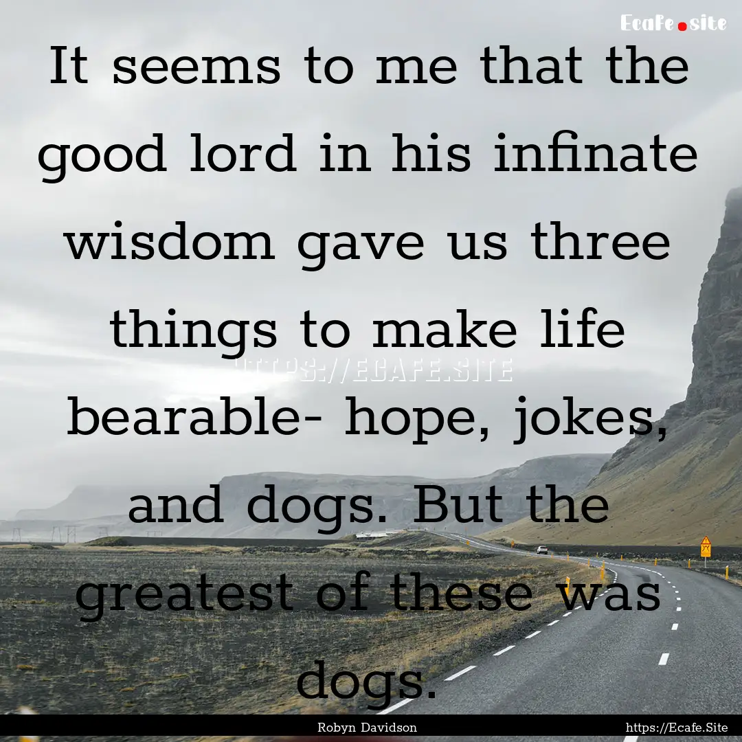 It seems to me that the good lord in his.... : Quote by Robyn Davidson