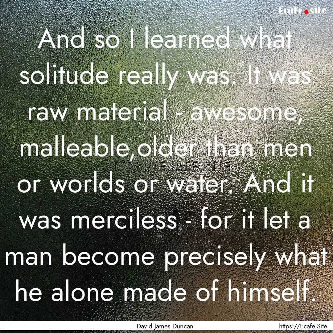 And so I learned what solitude really was..... : Quote by David James Duncan