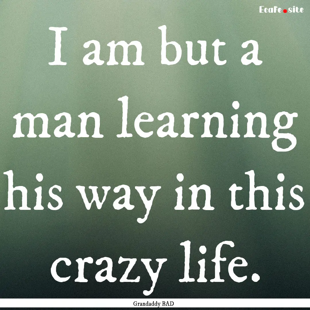 I am but a man learning his way in this crazy.... : Quote by Grandaddy BAD