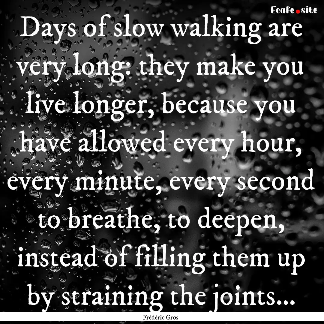 Days of slow walking are very long: they.... : Quote by Frédéric Gros