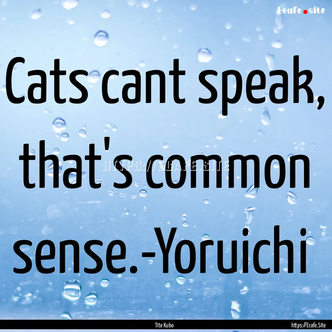 Cats cant speak, that's common sense.-Yoruichi .... : Quote by Tite Kubo